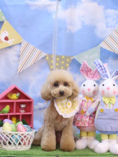 20240306サラちゃん